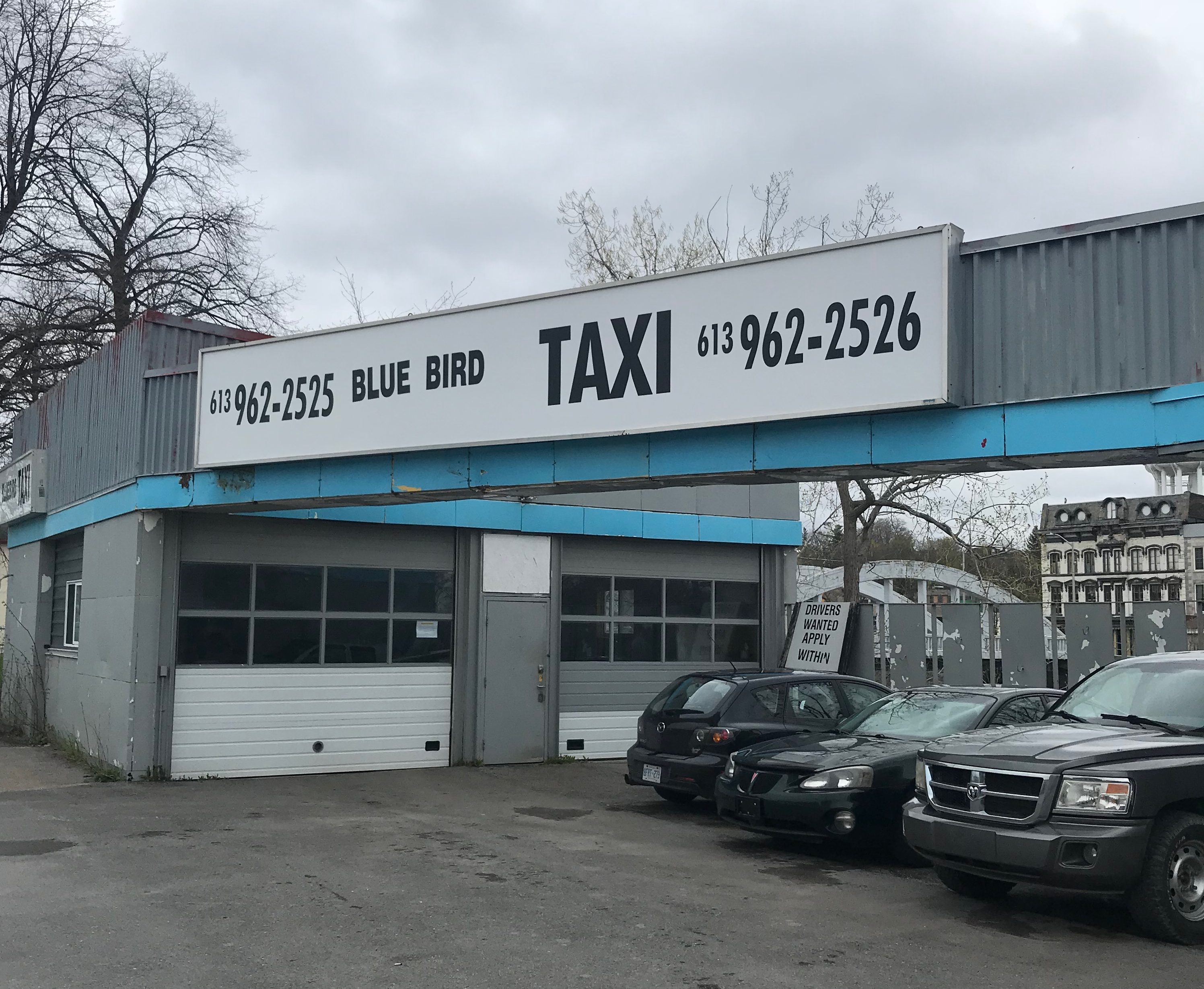 Belleville cab companies brace themselves for the possibility of Uber |  QNetNews.ca